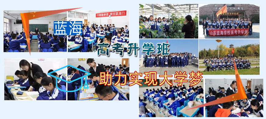 山东蓝海职业学校高考升学班2024年招生简
