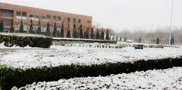 雪下的校园