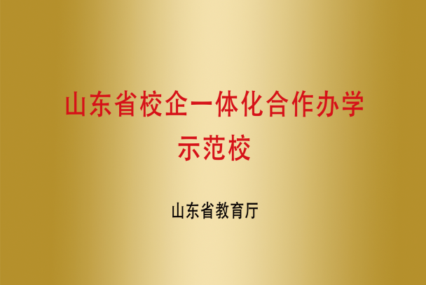 省校企一体化合作办学示范院校