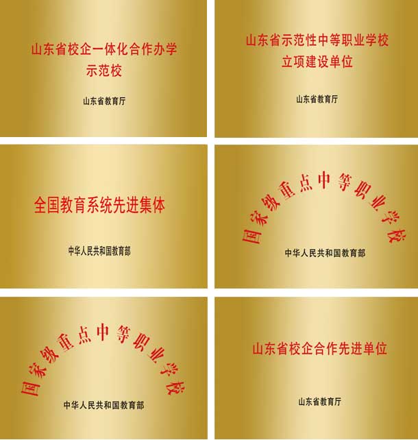 山东蓝海职业学校荣誉